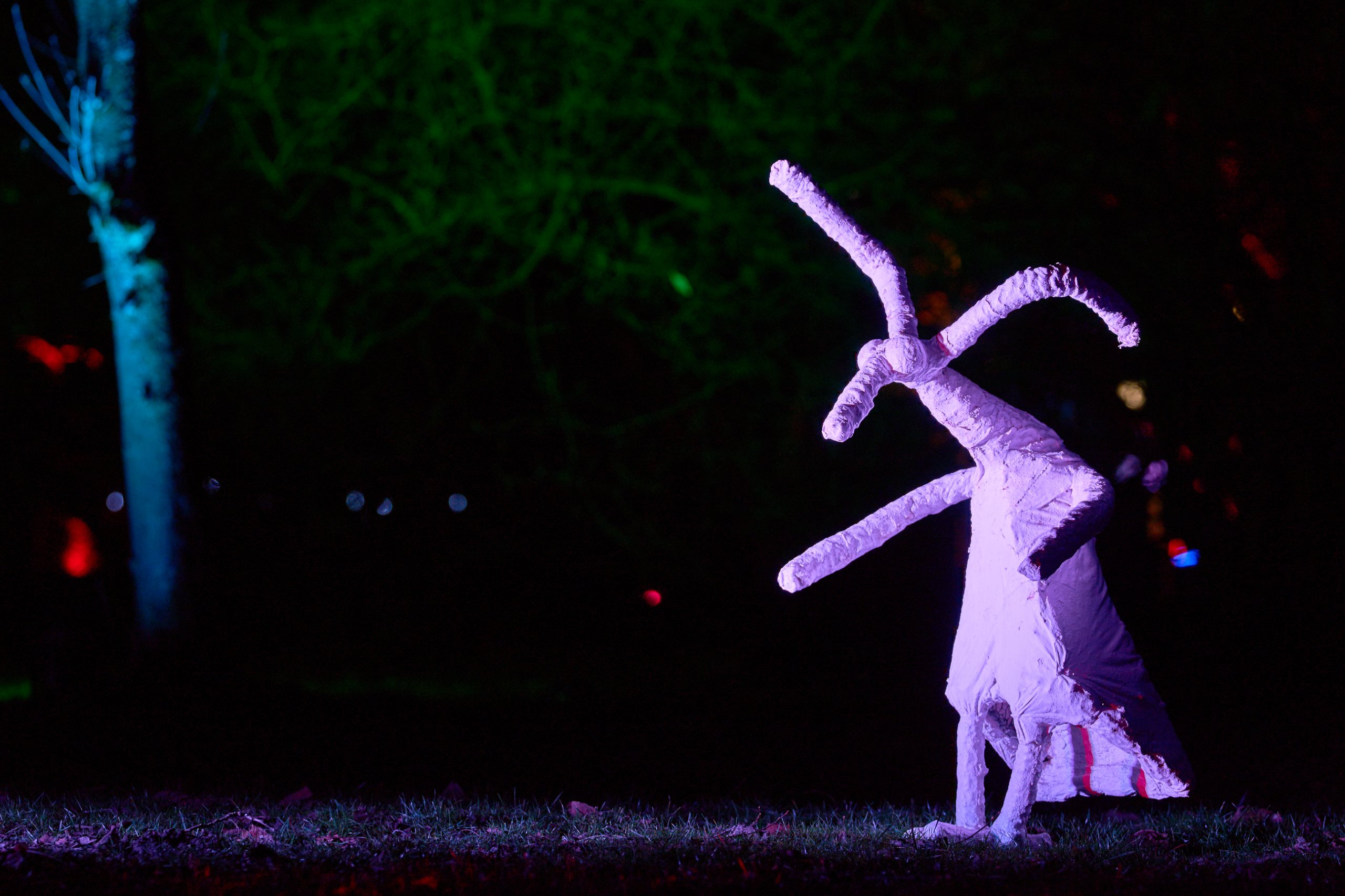 2026 02 05 Parkleuchten 0431